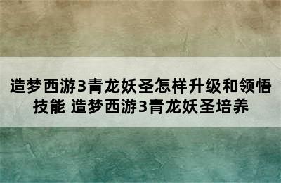 造梦西游3青龙妖圣怎样升级和领悟技能 造梦西游3青龙妖圣培养